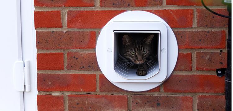 Cat Flap Glass Door Shipham