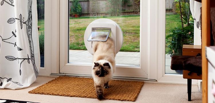 Microchip Cat Flap West Hendred